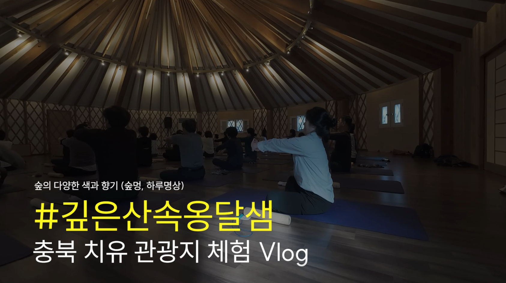 깊은산속옹달샘(숲멍, 하루명상) - 충북 웰니스 관광지 체험 Vlog 이미지